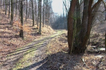 bdc-3411-kopie-758.jpg