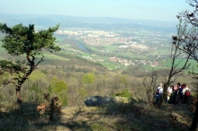 bdc-3418-kopie-758.jpg