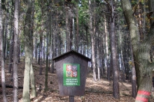 bdc-1843-kopie-784.jpg
