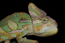 dolnipoohri-6855.jpg