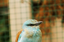 dolnipoohri-6857.jpg