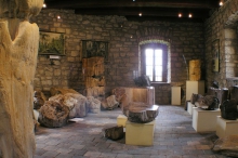 Expozice zkamenělý les