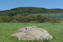 Džbánsko