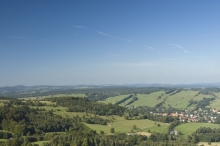 17590.jpg