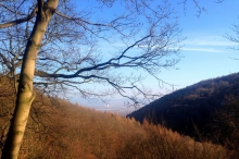 krusnehory-3608.jpg