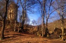 krusnehory-3620.jpg