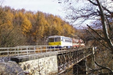 11773.jpg