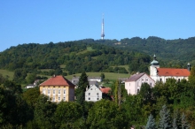 11456.jpg
