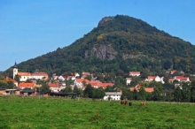11458.jpg
