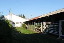 14380.jpg