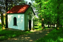 bdc-3466.jpg