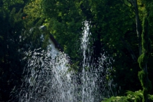 bdc-3335.jpg