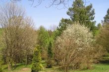 Arboretum v Kunraticích