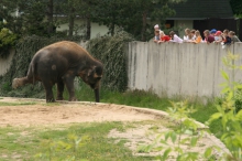 bdct-645.jpg