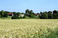 bdct-676.jpg