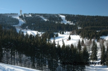 bdc-3381.jpg