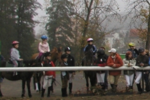 bdc-2678.jpg