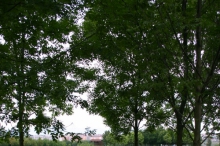 bdc-1016.jpg